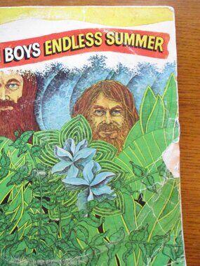 The Beach Boys, Endless Summer, vinyl record